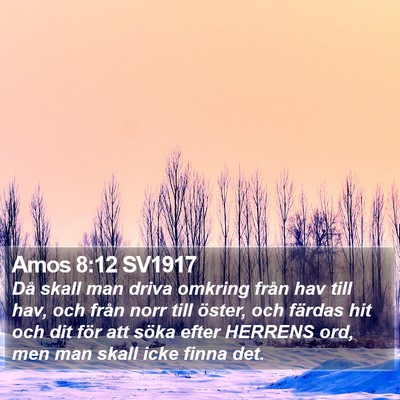 Amos 8:12 SV1917 Bible Verse Image