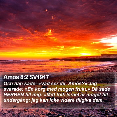 Amos 8:2 SV1917 Bible Verse Image
