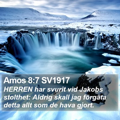 Amos 8:7 SV1917 Bible Verse Image