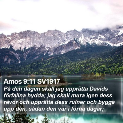 Amos 9:11 SV1917 Bible Verse Image