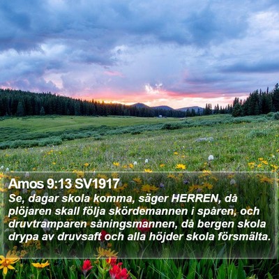 Amos 9:13 SV1917 Bible Verse Image