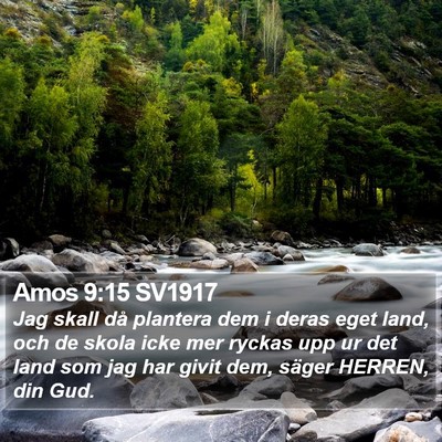 Amos 9:15 SV1917 Bible Verse Image