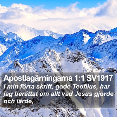 Apostlagärningarna 1:1 SV1917 Bible Verse Image