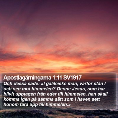 Apostlagärningarna 1:11 SV1917 Bible Verse Image