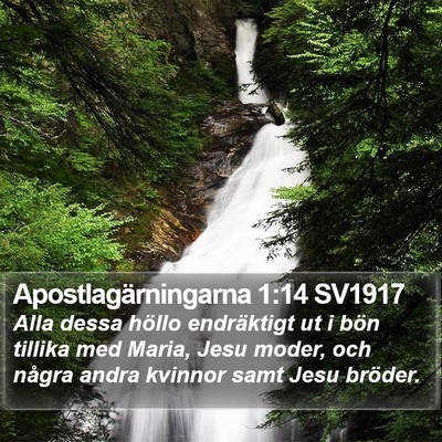 Apostlagärningarna 1:14 SV1917 Bible Verse Image
