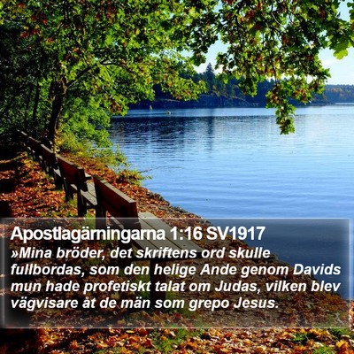 Apostlagärningarna 1:16 SV1917 Bible Verse Image