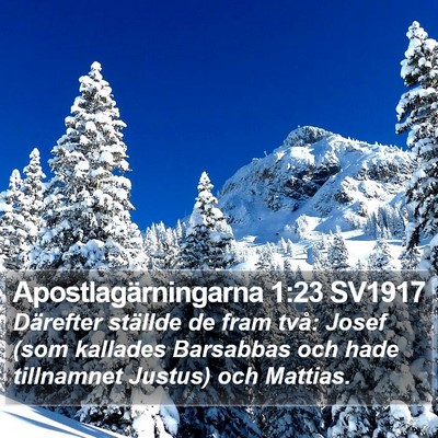 Apostlagärningarna 1:23 SV1917 Bible Verse Image