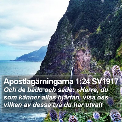 Apostlagärningarna 1:24 SV1917 Bible Verse Image