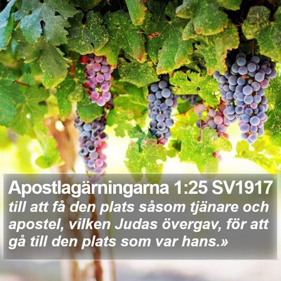 Apostlagärningarna 1:25 SV1917 Bible Verse Image