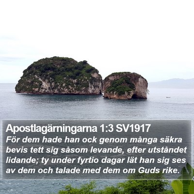 Apostlagärningarna 1:3 SV1917 Bible Verse Image