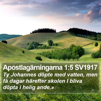 Apostlagärningarna 1:5 SV1917 Bible Verse Image