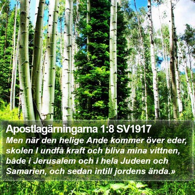 Apostlagärningarna 1:8 SV1917 Bible Verse Image