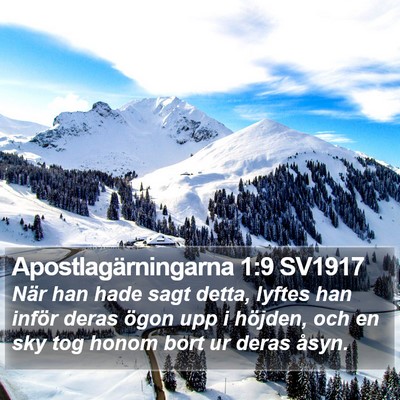 Apostlagärningarna 1:9 SV1917 Bible Verse Image