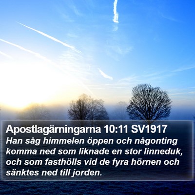 Apostlagärningarna 10:11 SV1917 Bible Verse Image