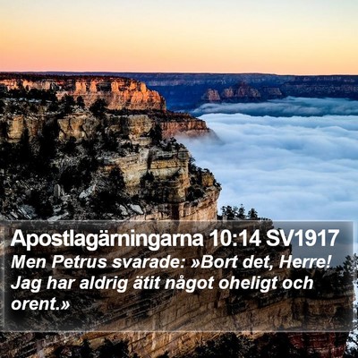 Apostlagärningarna 10:14 SV1917 Bible Verse Image
