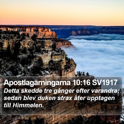 Apostlagärningarna 10:16 SV1917 Bible Verse Image