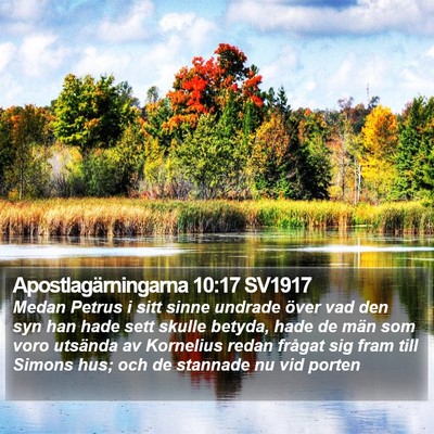 Apostlagärningarna 10:17 SV1917 Bible Verse Image
