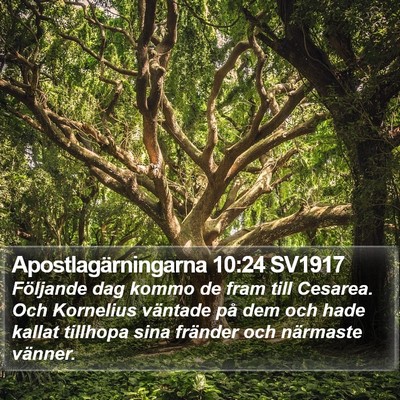 Apostlagärningarna 10:24 SV1917 Bible Verse Image
