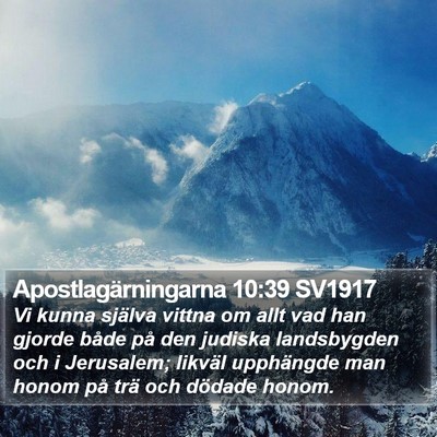 Apostlagärningarna 10:39 SV1917 Bible Verse Image