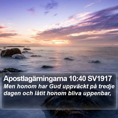 Apostlagärningarna 10:40 SV1917 Bible Verse Image