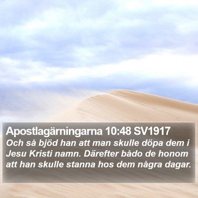 Apostlagärningarna 10:48 SV1917 Bible Verse Image