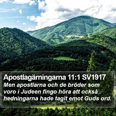 Apostlagärningarna 11:1 SV1917 Bible Verse Image