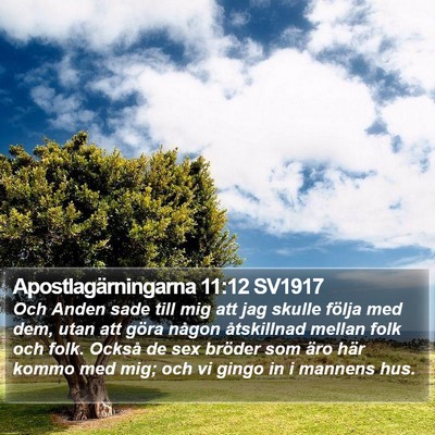 Apostlagärningarna 11:12 SV1917 Bible Verse Image