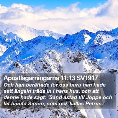Apostlagärningarna 11:13 SV1917 Bible Verse Image
