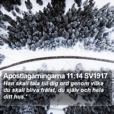 Apostlagärningarna 11:14 SV1917 Bible Verse Image