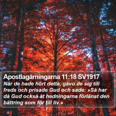 Apostlagärningarna 11:18 SV1917 Bible Verse Image