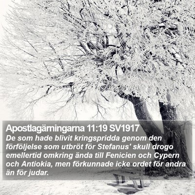 Apostlagärningarna 11:19 SV1917 Bible Verse Image