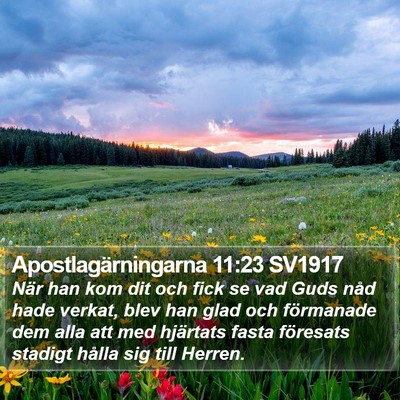 Apostlagärningarna 11:23 SV1917 Bible Verse Image