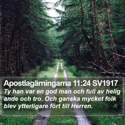 Apostlagärningarna 11:24 SV1917 Bible Verse Image