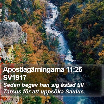 Apostlagärningarna 11:25 SV1917 Bible Verse Image