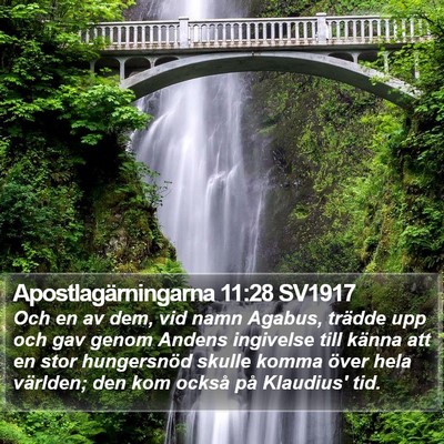 Apostlagärningarna 11:28 SV1917 Bible Verse Image