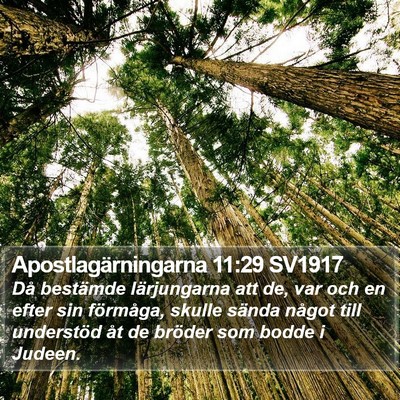 Apostlagärningarna 11:29 SV1917 Bible Verse Image