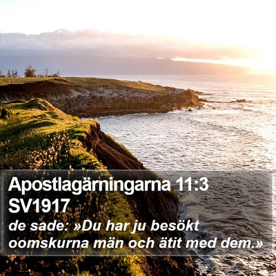 Apostlagärningarna 11:3 SV1917 Bible Verse Image