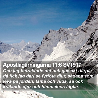 Apostlagärningarna 11:6 SV1917 Bible Verse Image