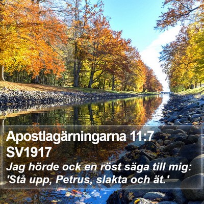 Apostlagärningarna 11:7 SV1917 Bible Verse Image