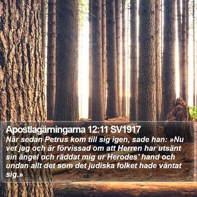 Apostlagärningarna 12:11 SV1917 Bible Verse Image