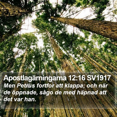 Apostlagärningarna 12:16 SV1917 Bible Verse Image