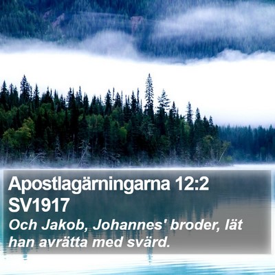 Apostlagärningarna 12:2 SV1917 Bible Verse Image