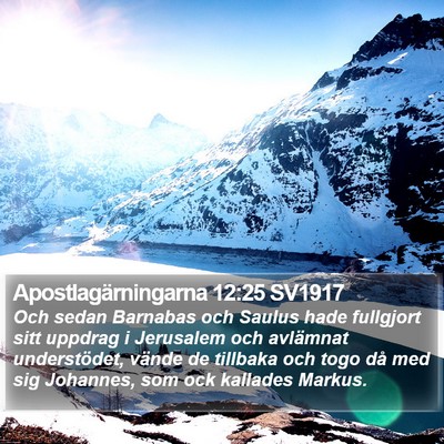 Apostlagärningarna 12:25 SV1917 Bible Verse Image