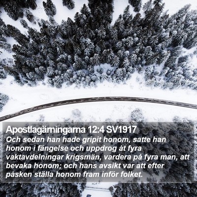 Apostlagärningarna 12:4 SV1917 Bible Verse Image