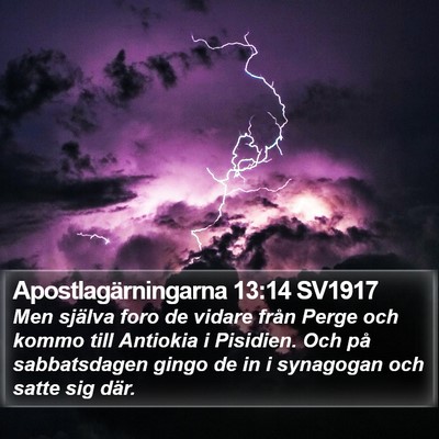 Apostlagärningarna 13:14 SV1917 Bible Verse Image