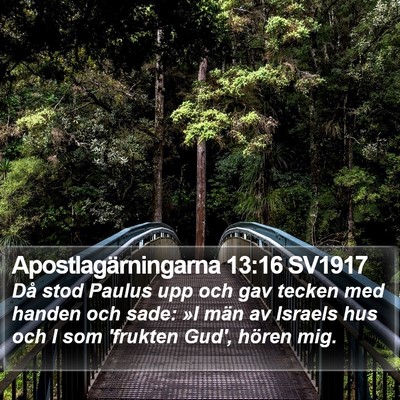 Apostlagärningarna 13:16 SV1917 Bible Verse Image