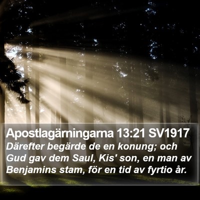 Apostlagärningarna 13:21 SV1917 Bible Verse Image