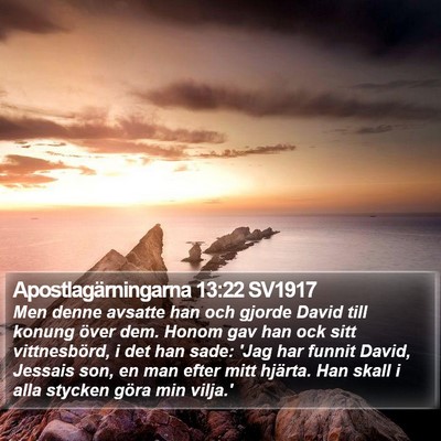 Apostlagärningarna 13:22 SV1917 Bible Verse Image