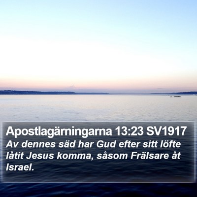 Apostlagärningarna 13:23 SV1917 Bible Verse Image