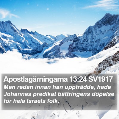 Apostlagärningarna 13:24 SV1917 Bible Verse Image